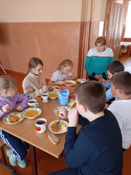 Родительский контроль за организацией питания.